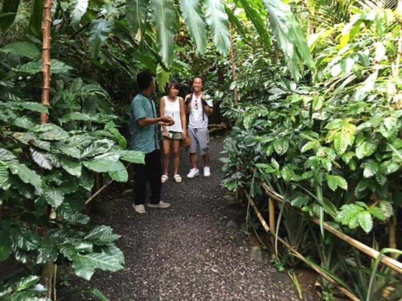 Sukawana Sunrise with Floating Temple & Kintamani Cafe Tour - Practical Details and Experience Insights