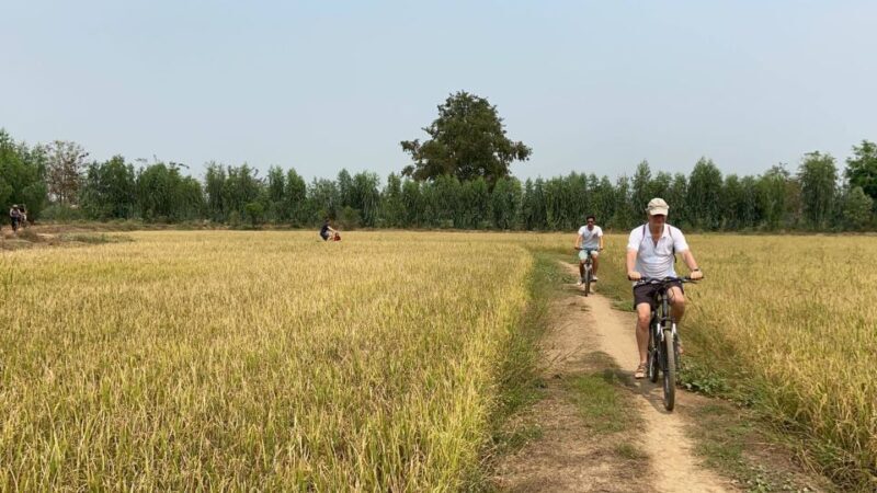 Sukhothai: Half-Day Countryside Bike Tour - What Reviewers Love Most