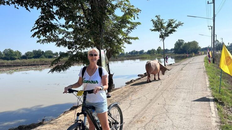 Sukhothai: Half-Day Countryside Bike Tour - Experience Rural Thai Culture