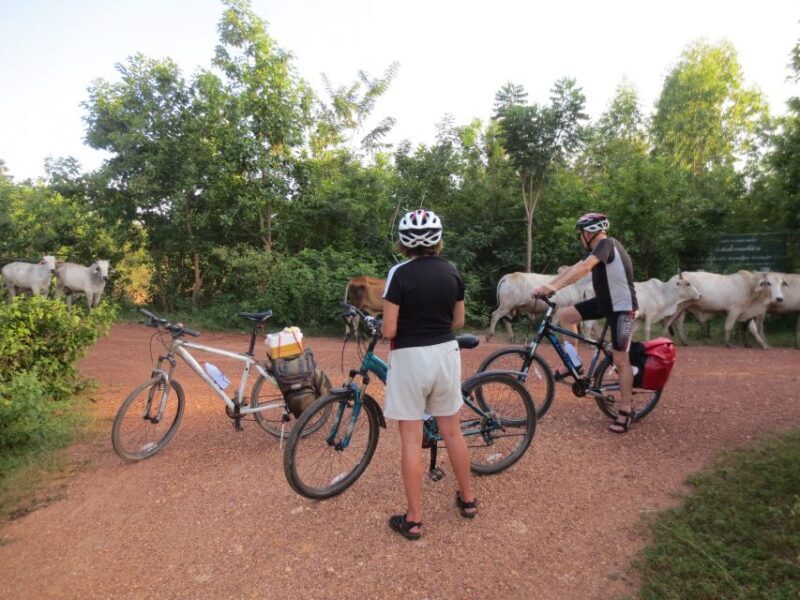 Sukhothai: Historical Park & Countryside Cycling Tour - Good To Know