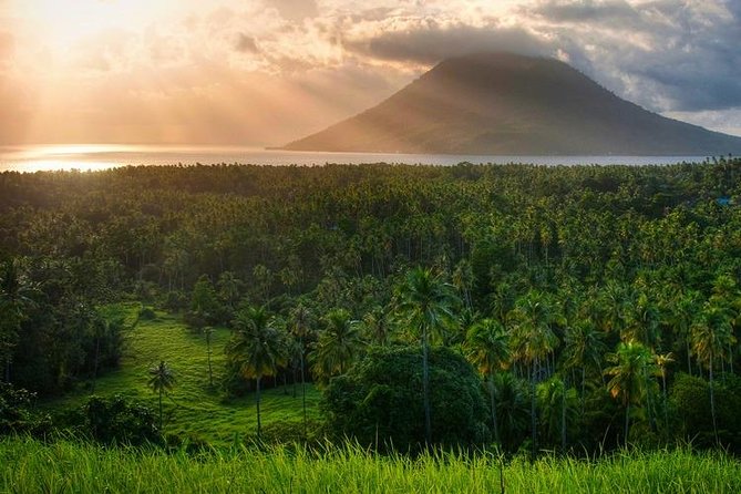 Sulawesi Nani Wartabone National Park Tour - Wildlife Endemic to Sulawesi
