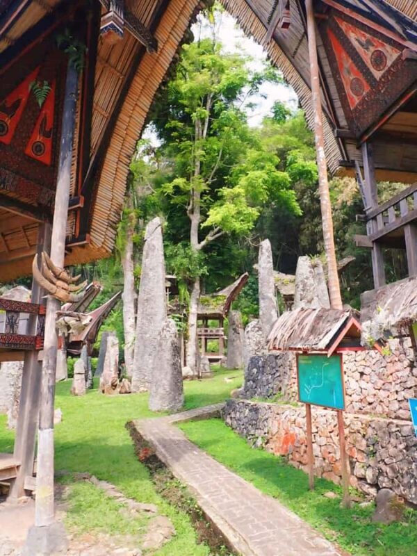 Sulawesi: Toraja Cultural Tour - Analyzing the Value