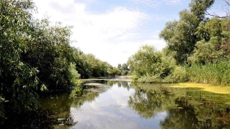 Sulina: Mila 23 Village Boat Trip in the Danube Delta - Good To Know
