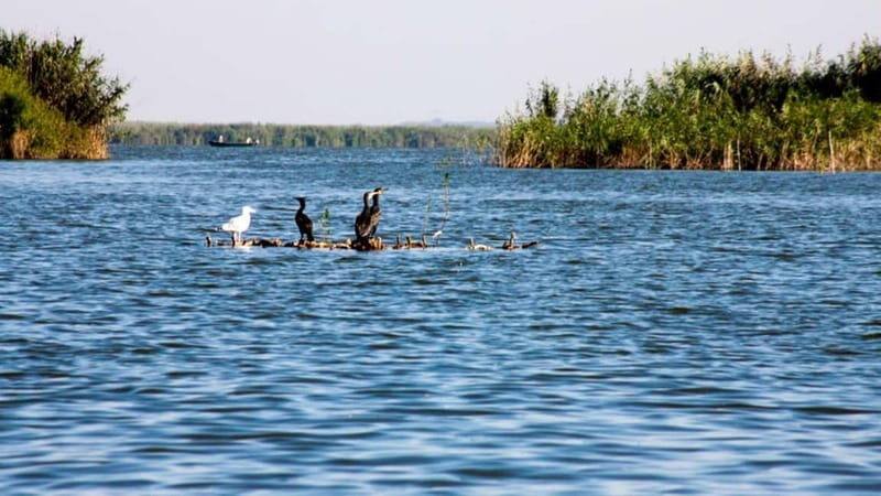 Sulina: Mila 23 Village Boat Trip in the Danube Delta - Who Would Enjoy This Tour?