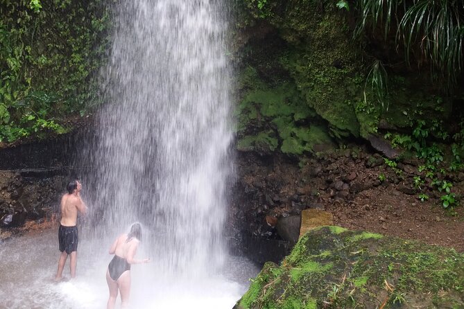 Sulphur Springs Mud Bath and Toraille Waterfall Tour With Creole Lunch - Traveler Reviews and Ratings