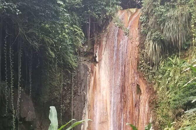 Sulphur Springs Tour - Exploring the Sulphur Springs Tour