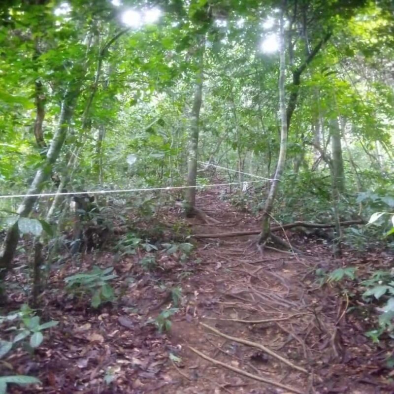 Sumatra: 3-Day Unique Jungle Experience & Exploring Wildlife - Authenticity and Ethical Impact