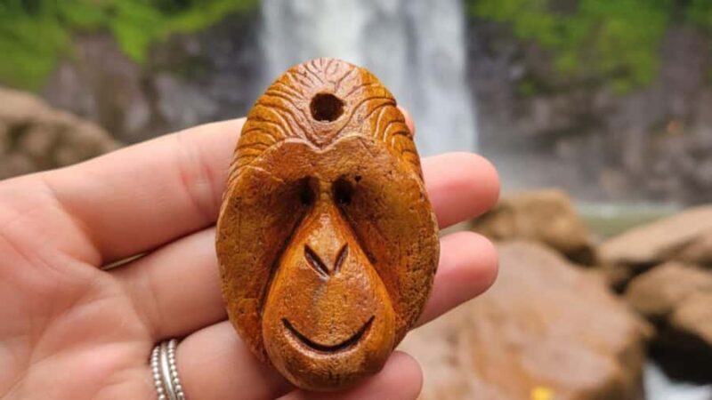 Sumatra Stone Stories : 2 Days Ethical Orangutan Trekking - Final Thoughts: Is It Worth It?