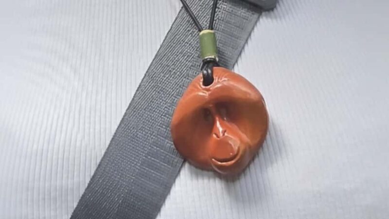 Sumatra Stone Stories : 2 Days Ethical Orangutan Trekking - Final Thoughts