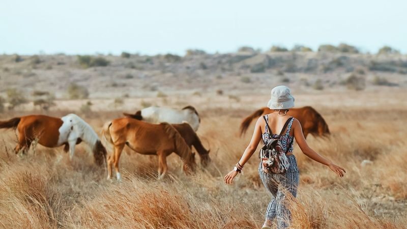 Sumba Private Multi-Day Hidden Gem Exploration - A 5 a.m. airport run and a short final morning