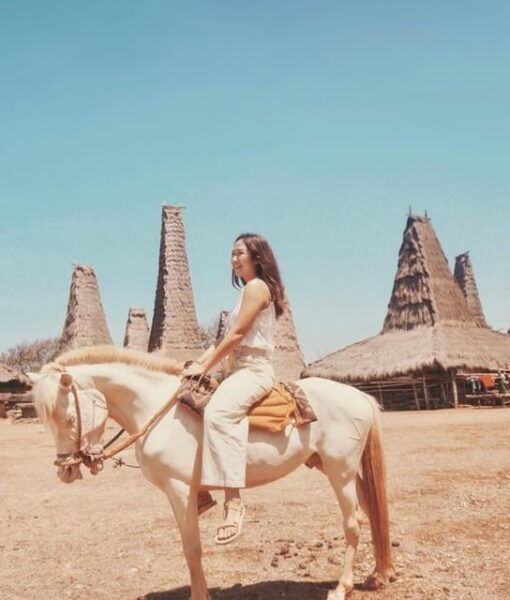Sumba: Ratenggaro Village, Waikuri & Mandorak Beach Tour - Travel Tips for Sumba Tour