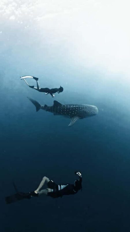 Sumbawa Package: Explore with Private or Shared Group - The Experience Providers and Reviews