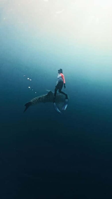 Sumbawa Package: Explore with Private or Shared Group - Good To Know