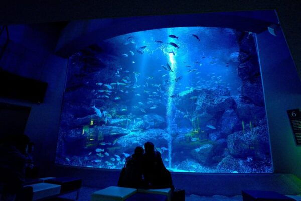 Sumida Aquarium Admission Ticket - Business Hours and Last Entry