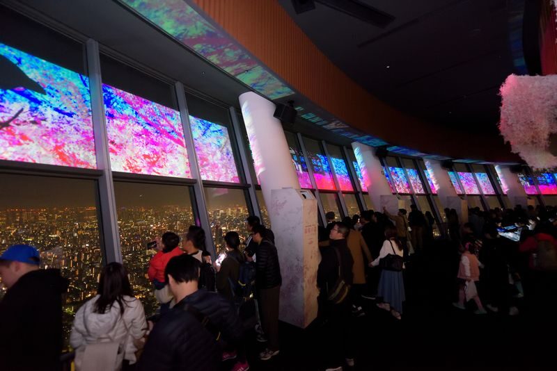 Sumida Aquarium Ticket in Tokyo - Is $13.65 good value?