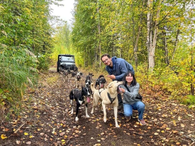 Summer Dog Sled Ride and Kennel Tour - Who Will Love This Experience?