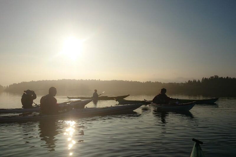 Summer Evening in a Sea Kayak, Turku Archipelago - A thorough look at the "Summer Evening in a Sea Kayak" tour