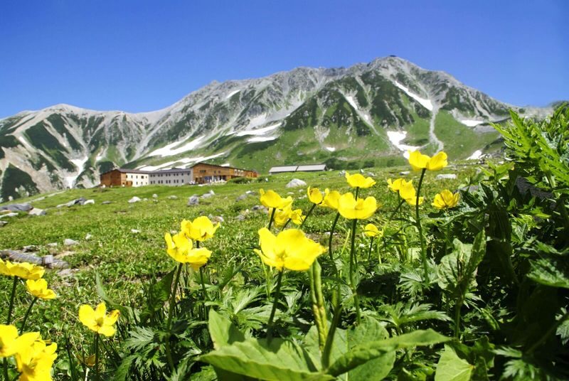 (Summer/Fall only) Tateyama-Kurobe: Walking on the "Roof of Japan" - The day at a glance