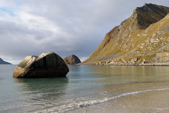 Summer Full-Day Guided Tour of the Lofoten Islands - Pricing and Copyright Information