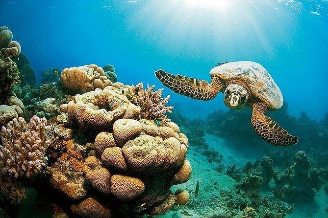 Summer Full-Day Package: Sea Scope, 45-Min Massage, ATV Quad - Special Offer Details
