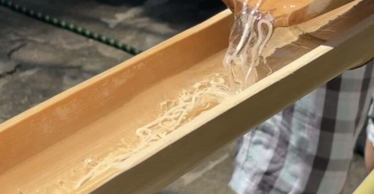 Summer Fun With Flowing Noodles - Activity Overview