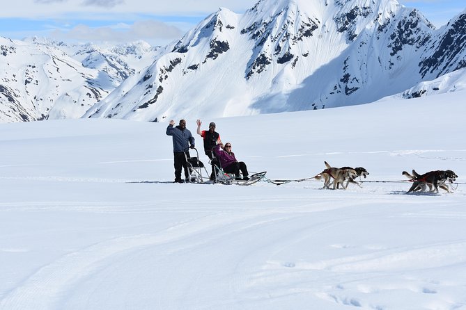 Summer Glacier Dogsledding Tour From Girdwood - Traveler Photos and Reviews