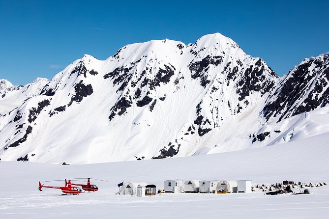 Summer Glacier Dogsledding Tour From Girdwood - Miscellaneous