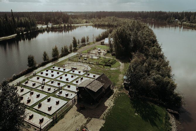 Summer Kennel Visit at Historic Trail Breaker Kennel - A closer look at the Trail Breaker Kennel experience