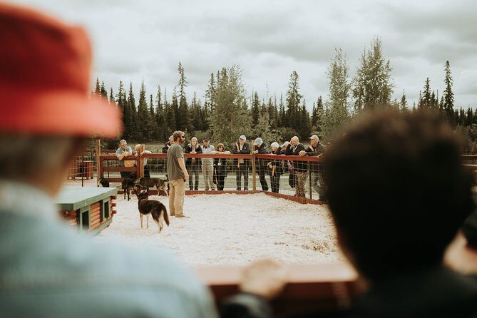Summer Kennel Visit at Historic Trail Breaker Kennel - Who Should Consider This Tour?