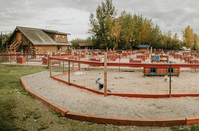 Summer Kennel Visit at Historic Trail Breaker Kennel - Final Thoughts