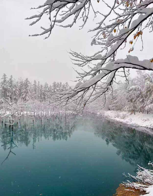 Summer Limited: Biei Furano Farm Tomita & Shikisai no Oka & Blue Pond & Waterfall Day Tour - What the Sapporo bus ride buys you