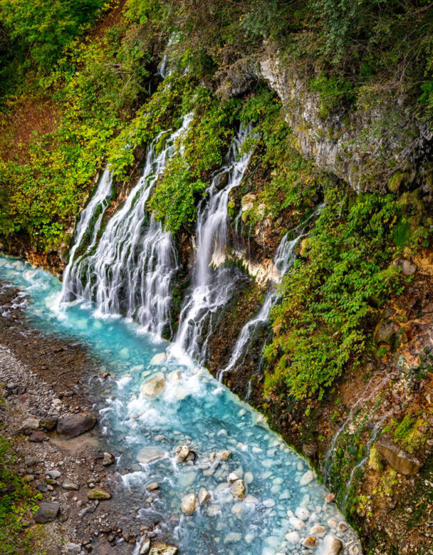 Summer Limited: Biei Furano Farm Tomita & Shikisai no Oka & Blue Pond & Waterfall Day Tour - Price, value and who should book