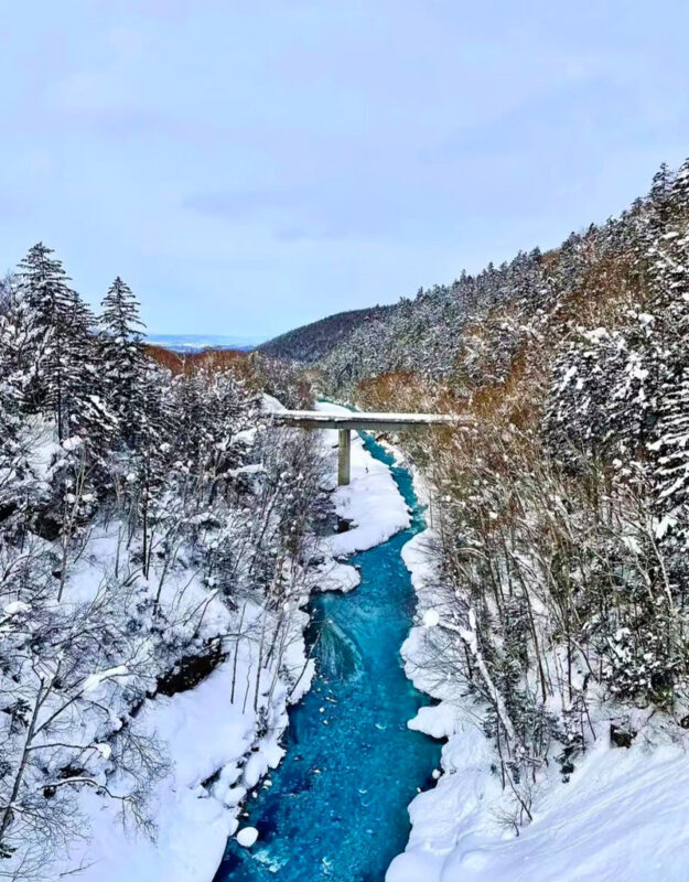 Summer Limited: Biei Furano Farm Tomita & Shikisai no Oka & Blue Pond & Waterfall Day Tour - Should you book this Furano and Biei day trip?