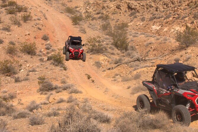 Summer Mojave Desert Twilight RZR Quest in Las Vegas - Who Will Enjoy This Tour?