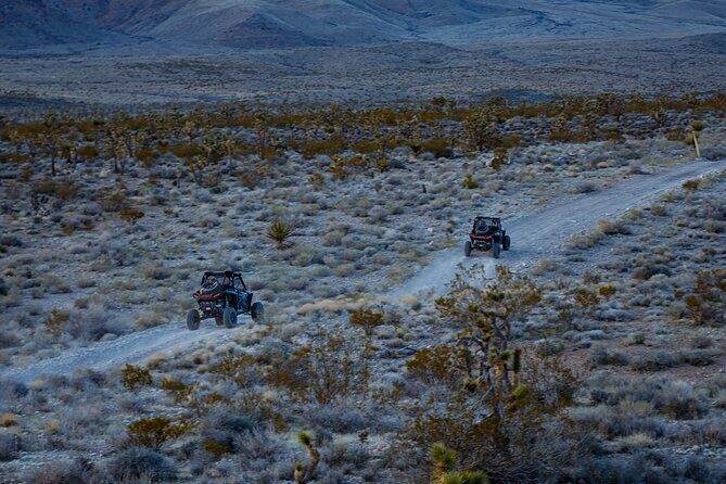 Summer Mojave Desert Twilight RZR Quest in Las Vegas - The Sum Up