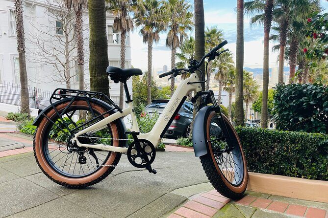 Summer of Love San Francisco Guided eBike Tour Golden Gate Park - Who Would Love This Tour?