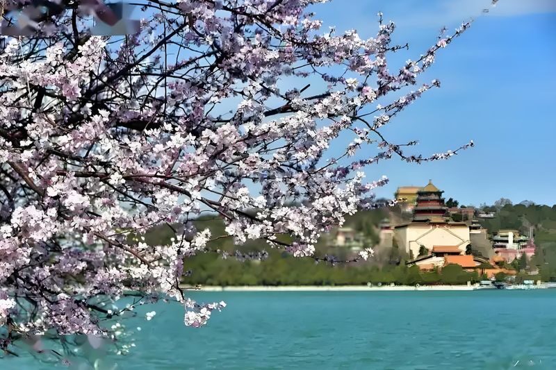 Summer Palace Half-Day Tour: Boat Trip to Explore Cixis Waterway + In-depth English Explanation - The Long Corridor, Marble Boat and Cixi’s quarters