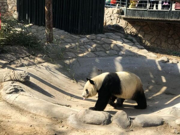 Summer Palace Walking Tour - Frequently Asked Questions