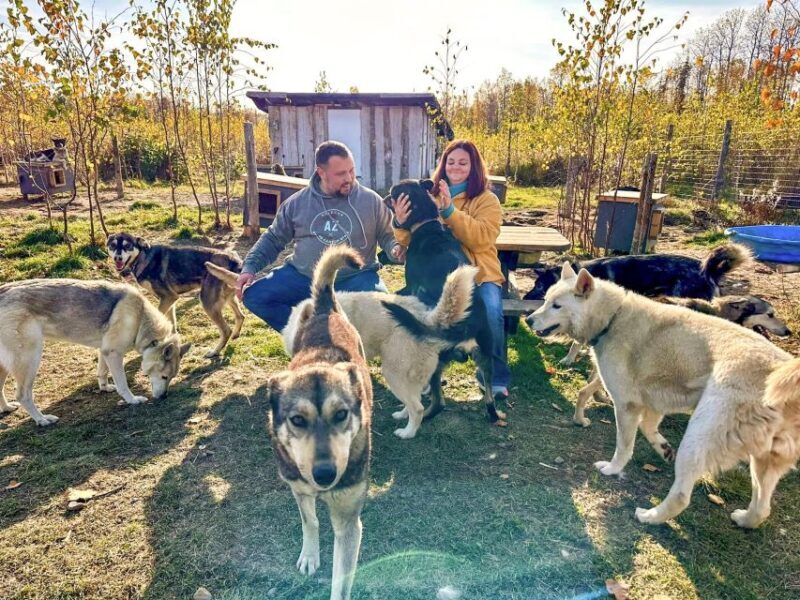 Summer Sled Dog Kennel Tour - Good To Know