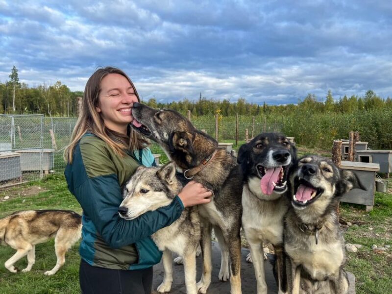 Summer Sled Dog Kennel Tour - The Sum Up