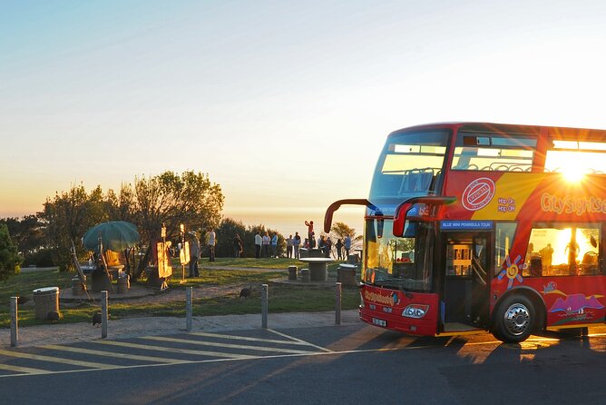 Summer Sunset Bus Tour in Cape Town - Tour Overview and Locations