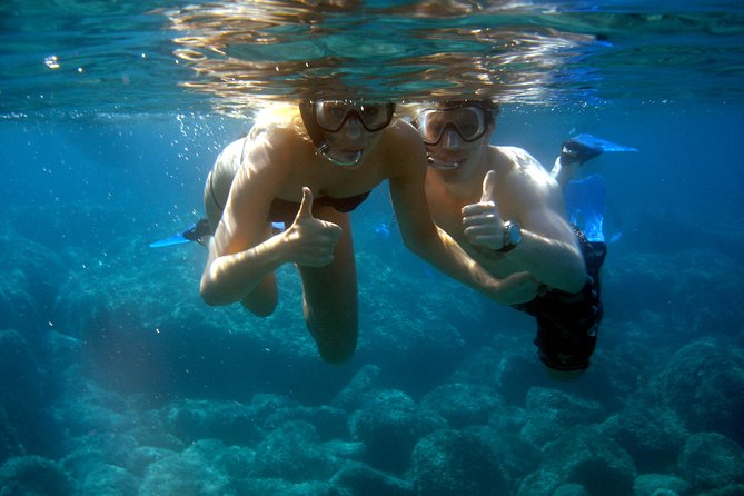 Summer Tour: Dolphin Watching and Guided Snorkeling - Tour Inclusions