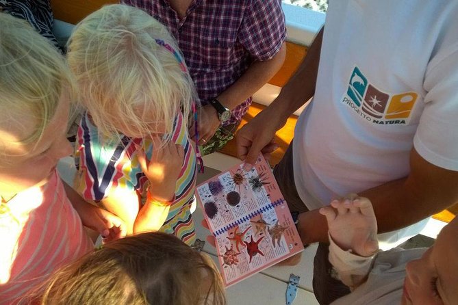 Summer Tour: Dolphin Watching and Guided Snorkeling - What to Bring