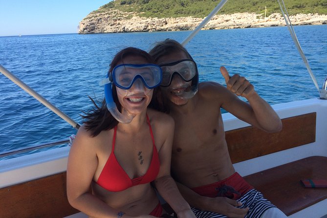 Summer Tour: Dolphin Watching and Guided Snorkeling - Booking Information