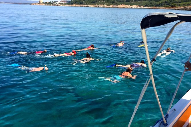 Summer Tour: Dolphin Watching and Guided Snorkeling - Frequently Asked Questions
