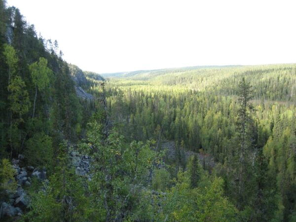 Summer Tour From Rovaniemi: Korouoma Waterfall and Ranua Zoo - What to Bring