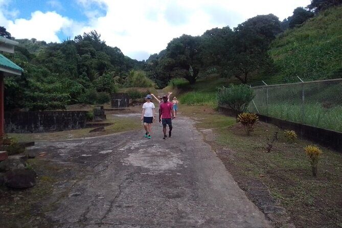 Summit Adventure: Conquer the La Soufriere Volcano - Transportation and Logistics