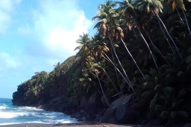 Summit Adventure: Conquer the La Soufriere Volcano - Real Traveler Insights