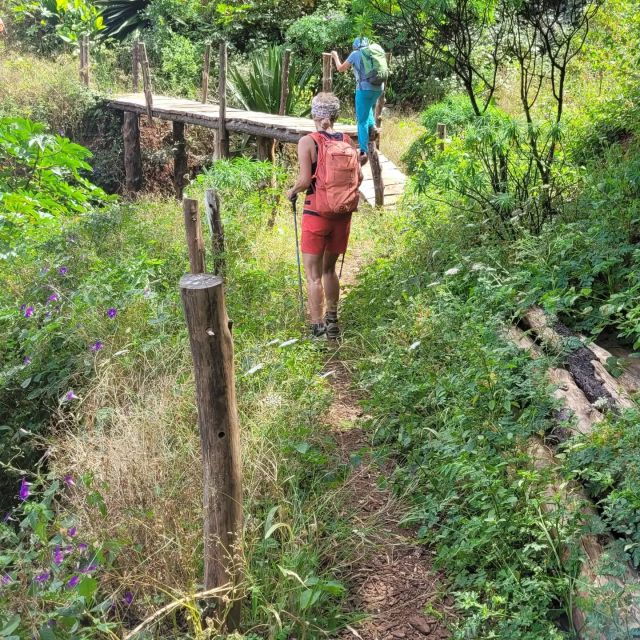 Summit Hike Monte Gordo - Activity Overview