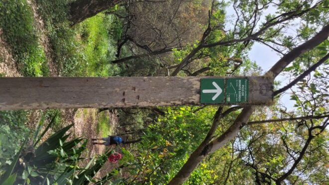 Summit Hike Monte Gordo - Trek Description